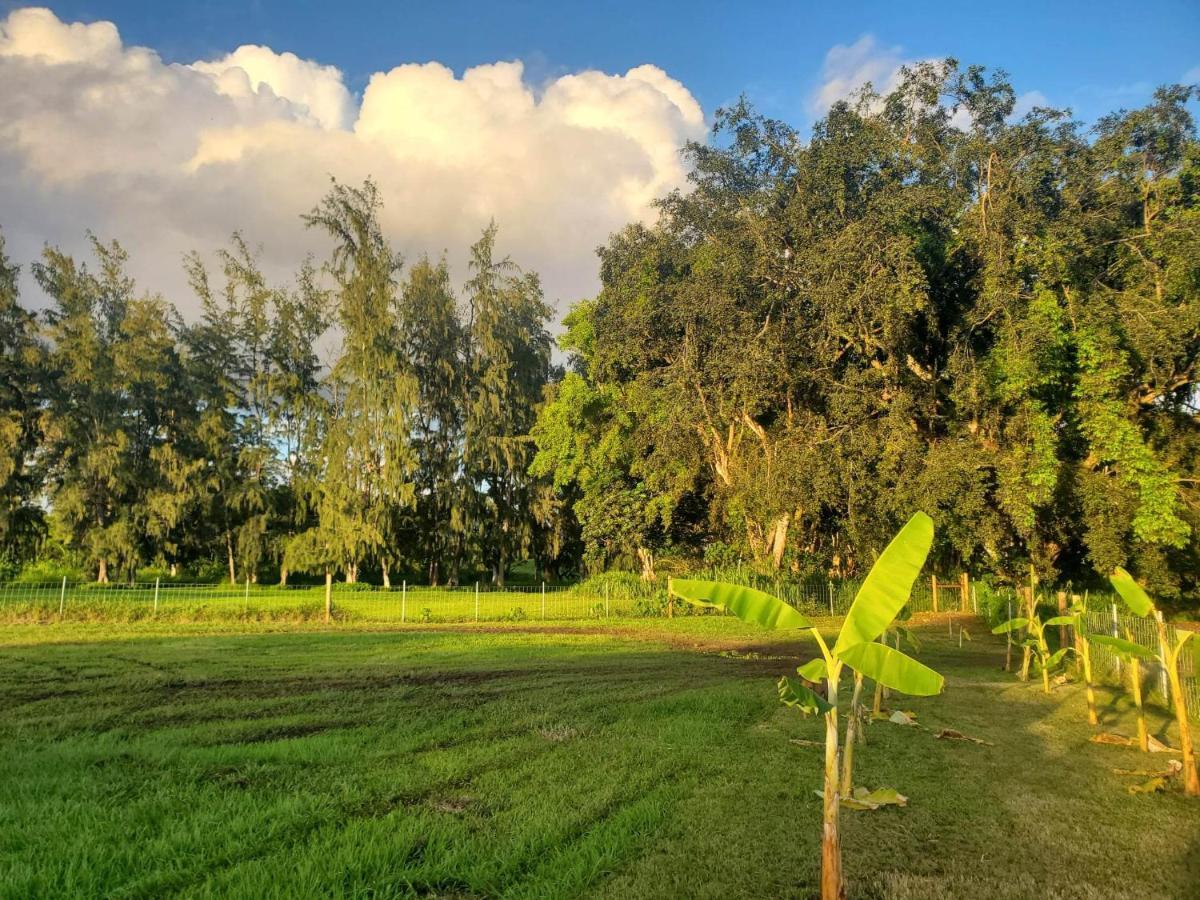 Maleka Farm: Tent Glamping North Shore Oahu Laie Exteriör bild